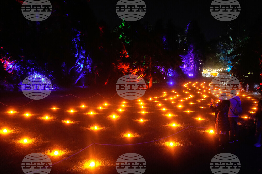 Botanical Garden Holiday Lights