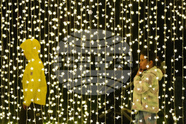 Botanical Garden Holiday Lights