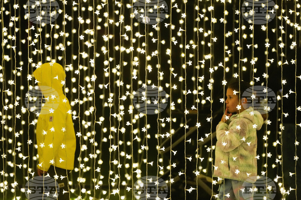 Botanical Garden Holiday Lights