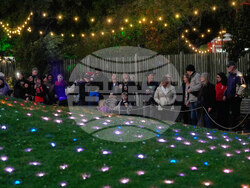 Botanical Garden Holiday Lights