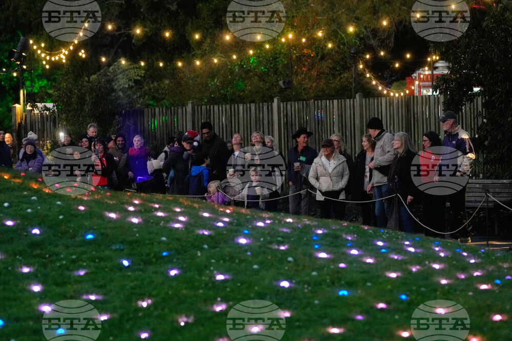 Botanical Garden Holiday Lights