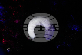 Botanical Garden Holiday Lights