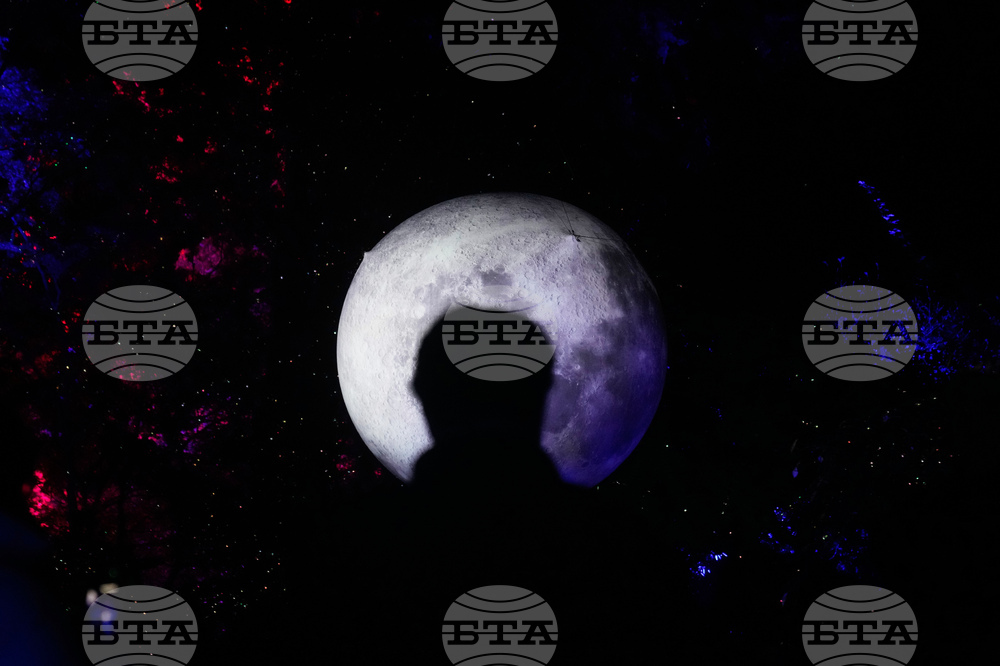 Botanical Garden Holiday Lights