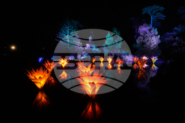 Botanical Garden Holiday Lights