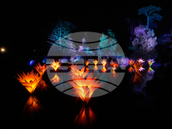 Botanical Garden Holiday Lights