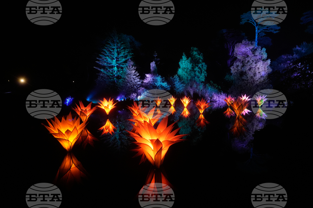 Botanical Garden Holiday Lights