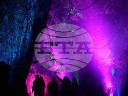 Botanical Garden Holiday Lights