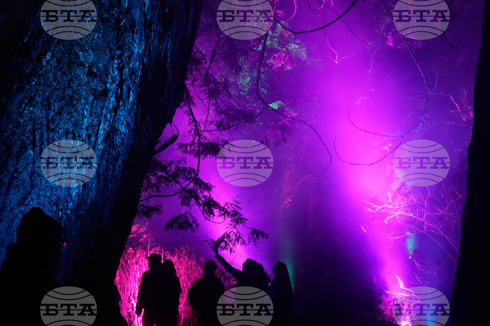 Botanical Garden Holiday Lights