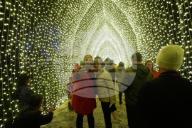 Botanical Garden Holiday Lights