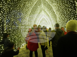 Botanical Garden Holiday Lights