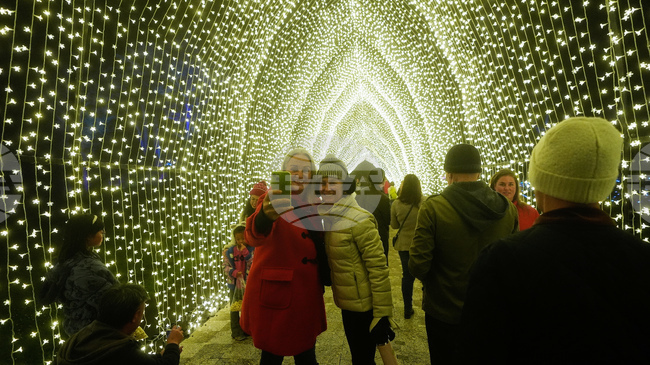 Празничната украса в парка "Голдън гейт" в Сан Франциско радва посетителите с музика, цветове и над милион блестящи светлини