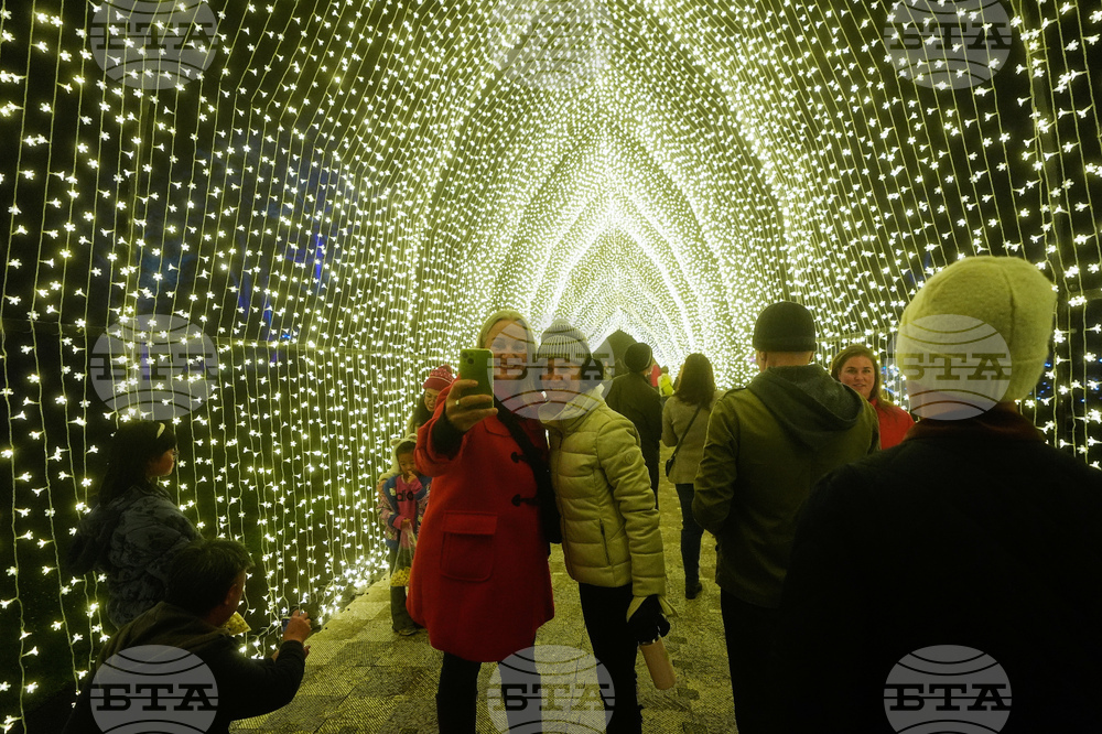 Botanical Garden Holiday Lights