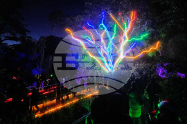 Botanical Garden Holiday Lights