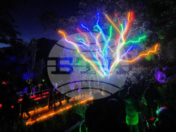 Botanical Garden Holiday Lights