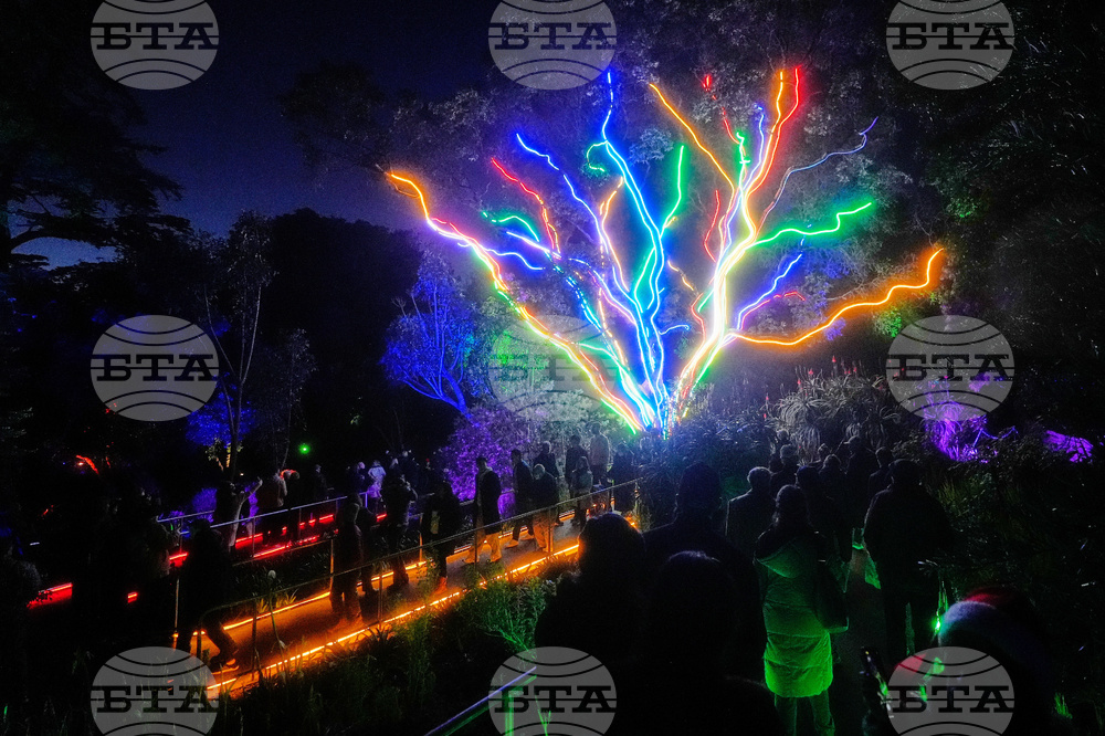 Botanical Garden Holiday Lights