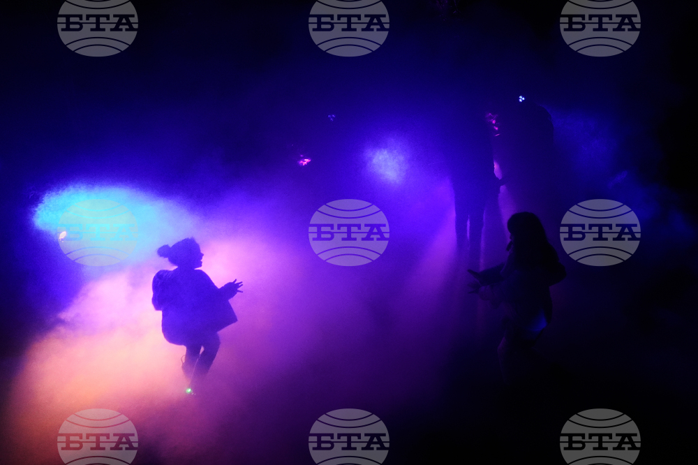 Botanical Garden Holiday Lights