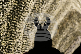 Botanical Garden Holiday Lights