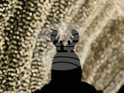 Botanical Garden Holiday Lights