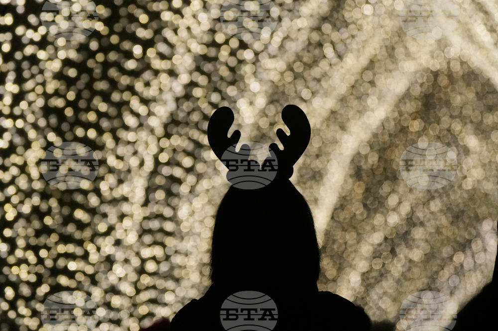 Botanical Garden Holiday Lights