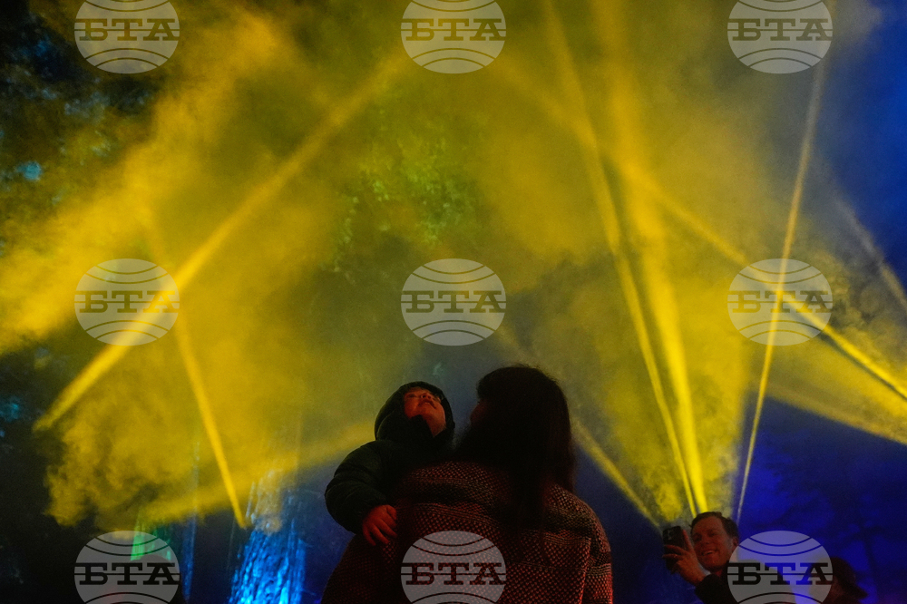 Botanical Garden Holiday Lights