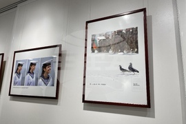 Казанлък - Вяра Йовева - изложба