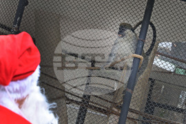 Варна - зоопарк - Дядо Коледа