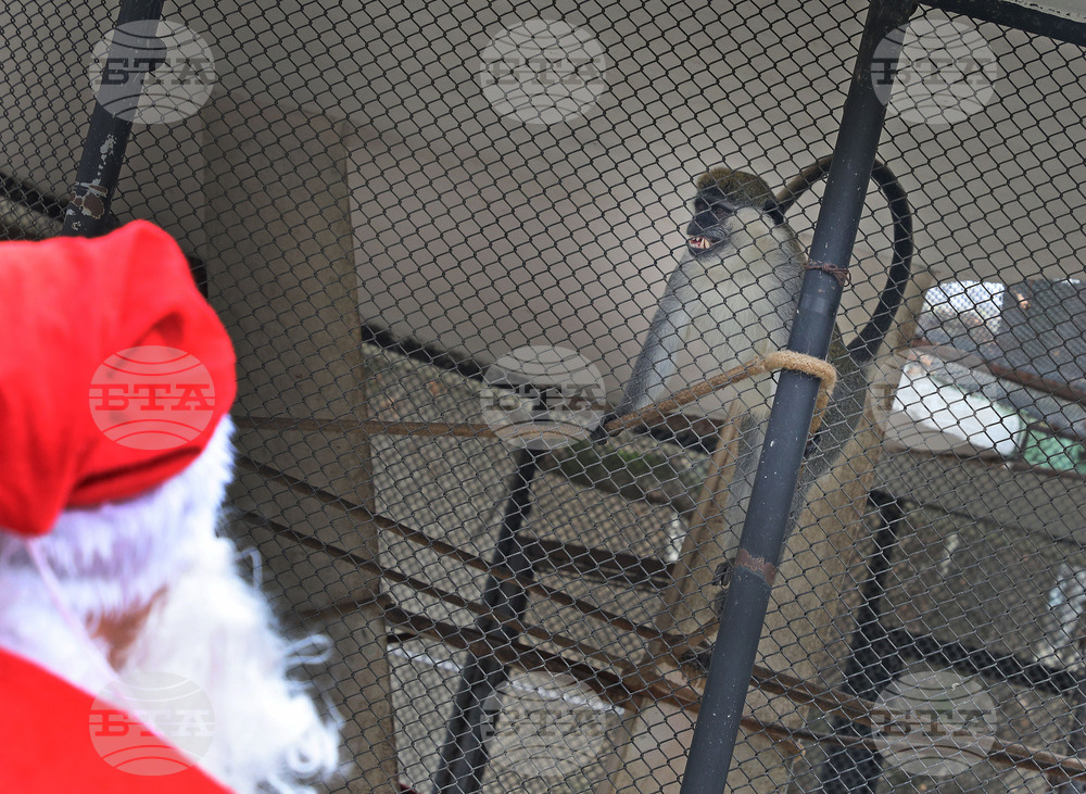 Варна - зоопарк - Дядо Коледа