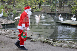 Варна - зоопарк - Дядо Коледа