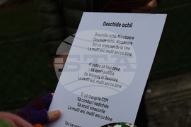 Румъния - Букурещ - президентски дворец Котрочени - демонстрация