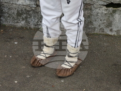 Румъния - Букурещ - президентски дворец Котрочени - демонстрация