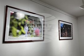 Казанлък - Вяра Йовева - изложба