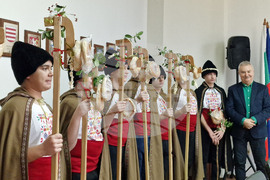 Монтана - училища - коледари