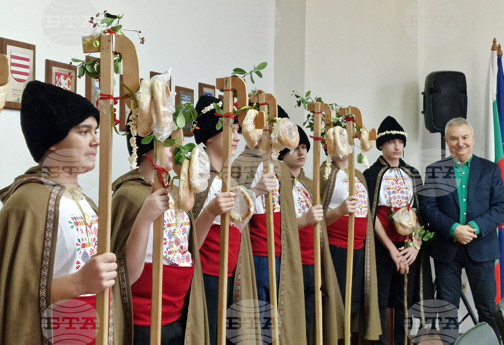 Монтана - училища - коледари