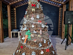 Стара Загора - Зоопарк - празник - базар