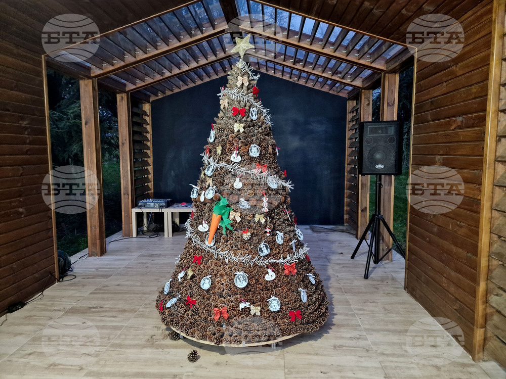 Стара Загора - Зоопарк - празник - базар