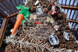 Стара Загора - Зоопарк - празник - базар