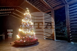 Стара Загора - Зоопарк - празник - базар