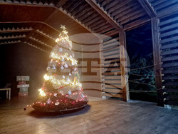 Стара Загора - Зоопарк - празник - базар