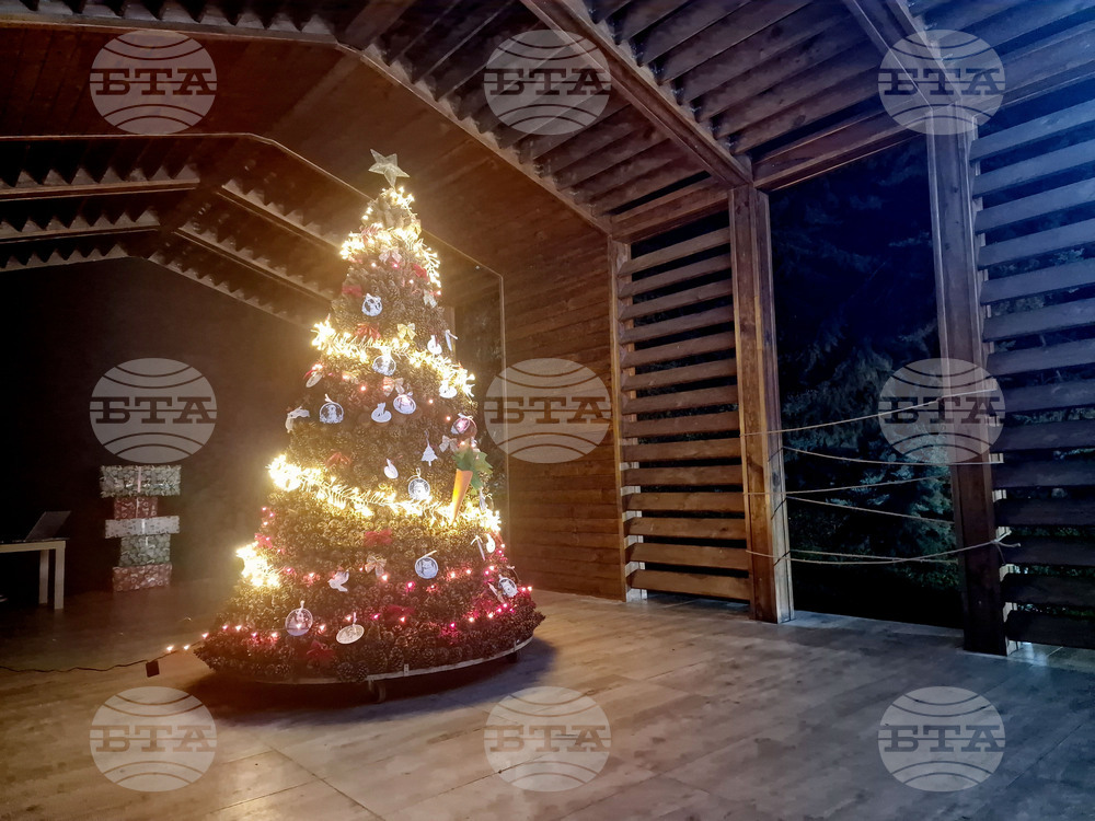 Стара Загора - Зоопарк - празник - базар