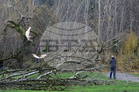 Atmospheric Rivers Explainer