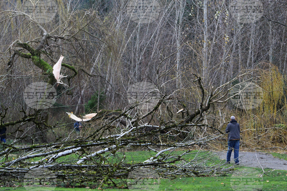 Atmospheric Rivers Explainer
