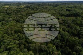 Colombia Coca Eradication