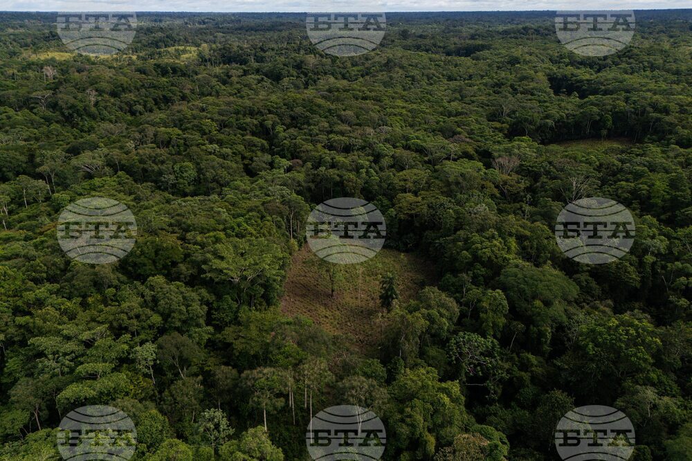 Colombia Coca Eradication