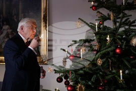Germany President Christmas