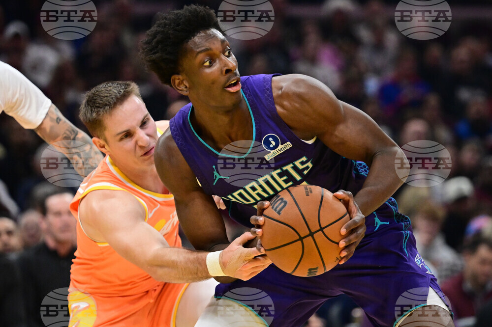 Hornets Cavaliers Basketball