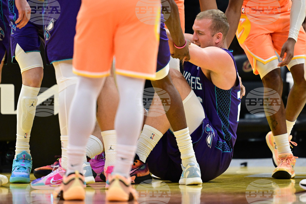 Hornets Cavaliers Basketball