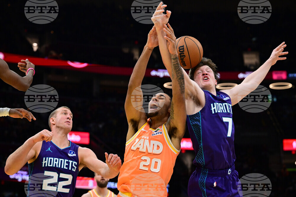 Hornets Cavaliers Basketball