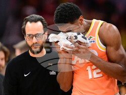 Hornets Cavaliers Basketball