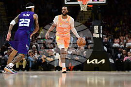 Hornets Cavaliers Basketball