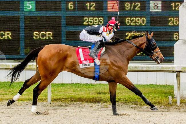 Delta Downs Horse Racing